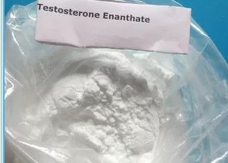 Αναβολική σκόνη Enanthate τεστοστερόνης σκονών 99% στεροειδών που χρησιμοποιείται στο μυ που χτίζει 315-37-7