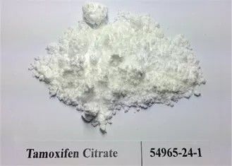 99.5% κιτρικό άλας Tamoxifen σκονών στεροειδών αγνότητας/ακατέργαστη σκόνη CAS 54965-24-1 Nolvadex