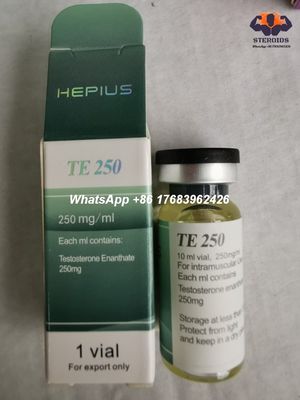 Εκχύσιμη αναβολική τεστοστερόνη Enanthate 250mg/ml 315-37-7 στεροειδών